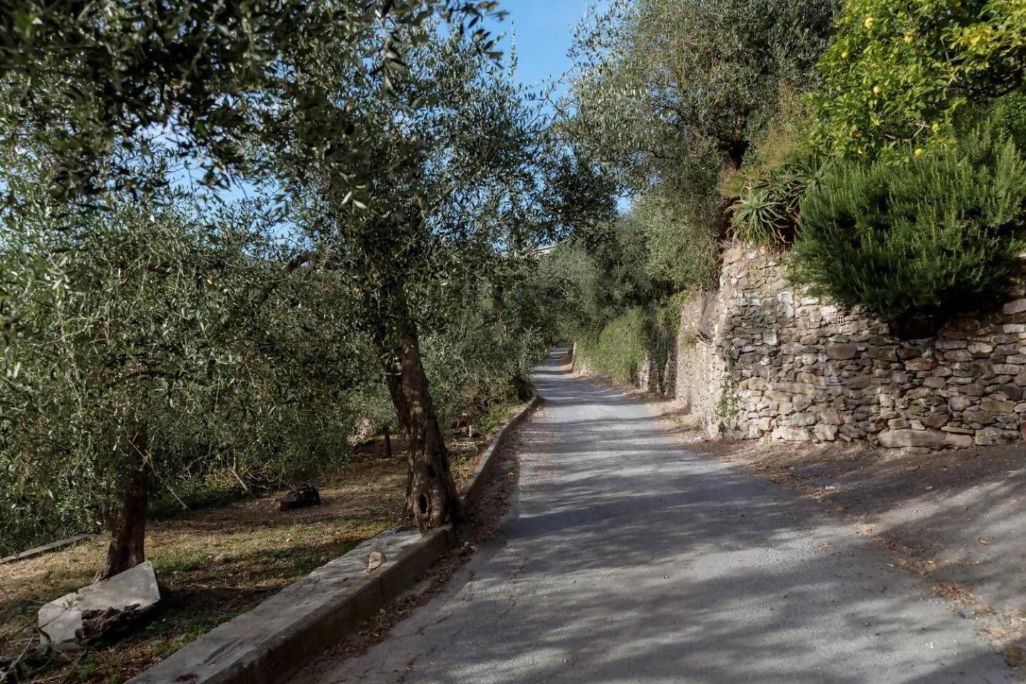 Appartamento Alba Dachi Farm Andora Luaran gambar