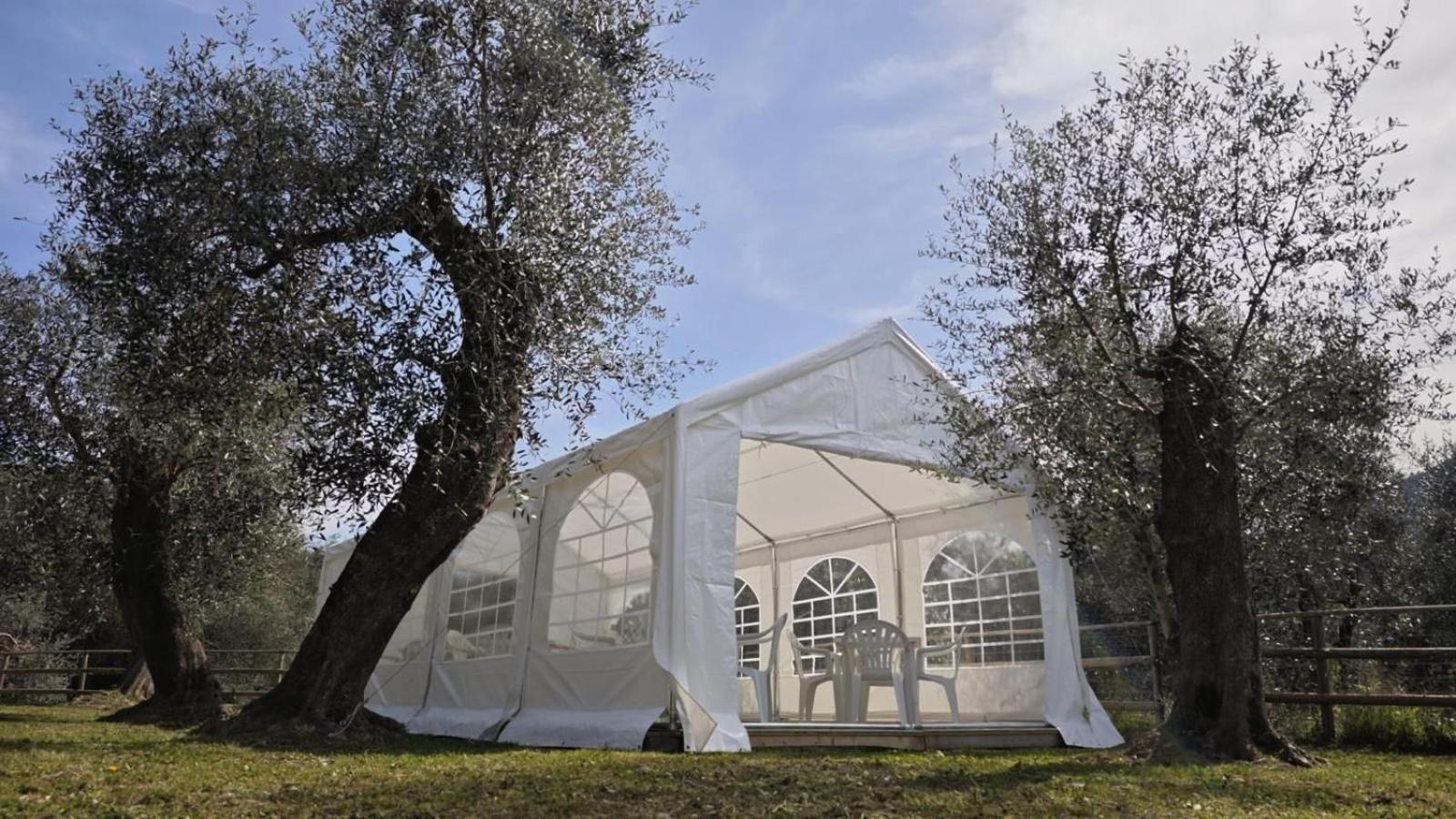 Appartamento Alba Dachi Farm Andora Luaran gambar