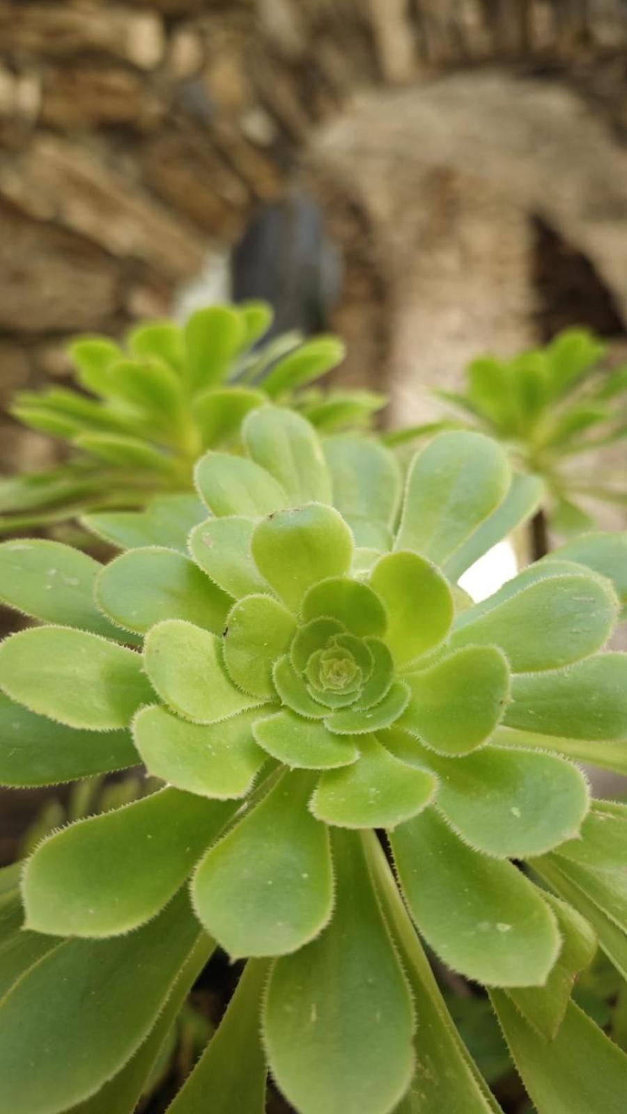 Appartamento Alba Dachi Farm Andora Luaran gambar